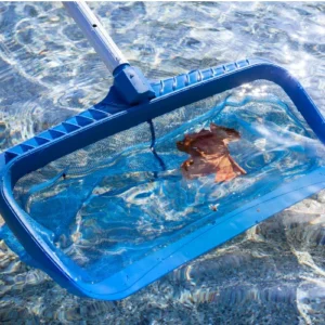 One-time pool cleaning